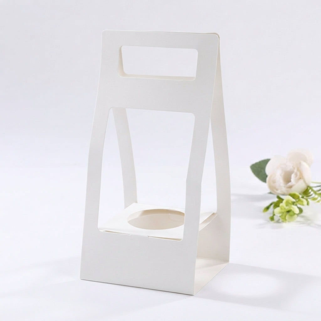 Decorative Succulent Plant Gift Box Pack 20