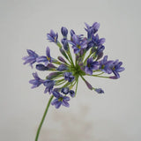 Load image into Gallery viewer, Artificial Lily of the Nile Stem (76cm)
