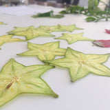 Load image into Gallery viewer, 10 Pcs Real Pressed Dried Star Fruit Slices