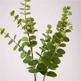 Load image into Gallery viewer, Real Touch Artificial Eucalyptus Branch (82cm)