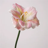Load image into Gallery viewer, Real Touch Artificial Clivia Stem (54cm)
