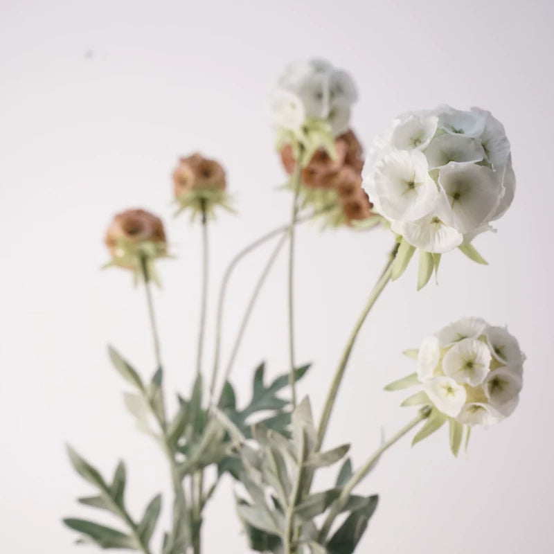 24" Artificial Scabiosa Starflower Pod Spray