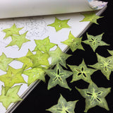 Load image into Gallery viewer, 10 Pcs Real Pressed Dried Star Fruit Slices