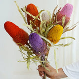 Load image into Gallery viewer, Real Dried Preserved Banksia Flower with Foliage