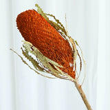 Load image into Gallery viewer, Real Dried Preserved Banksia Flower with Foliage