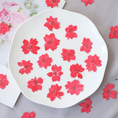 50 Pcs Vibrant Dyed Pressed Delphinium Flowers