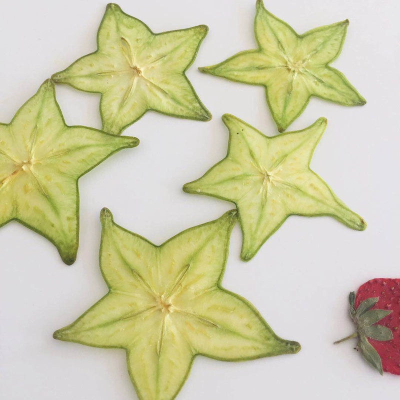 10 Pcs Real Pressed Dried Star Fruit Slices