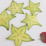 Load image into Gallery viewer, 5 Pcs Dried Pressed Star Fruit for DIY Crafts