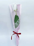 Load image into Gallery viewer, 50pcs Single Stem Bouquet Sleeves Bags