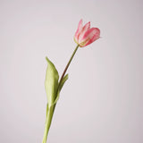Load image into Gallery viewer, Real-Touch Artificial Tulip Stem (47cm)