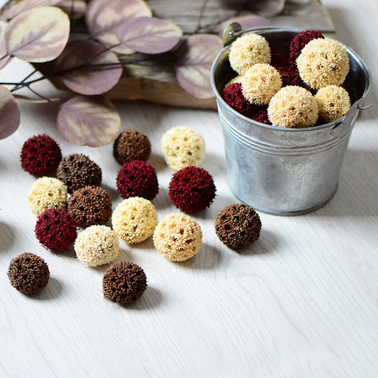 Natural Dried Maple Fruits for DIY Crafting
