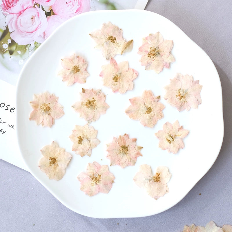 50 Pcs Vibrant Dyed Pressed Delphinium Flowers