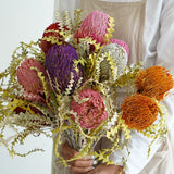 Load image into Gallery viewer, Real Dried Preserved Banksia Flower with Foliage