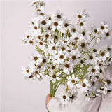 Load image into Gallery viewer, Real Touch Artificial Daisy Spray (66cm)