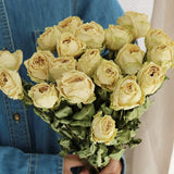 Load image into Gallery viewer, 20-Stem Real Dried Rose Flower Bouquet