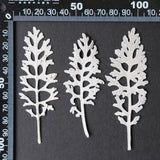 Load image into Gallery viewer, 50 Pcs Dried Pressed Silver Ragwort Leaves