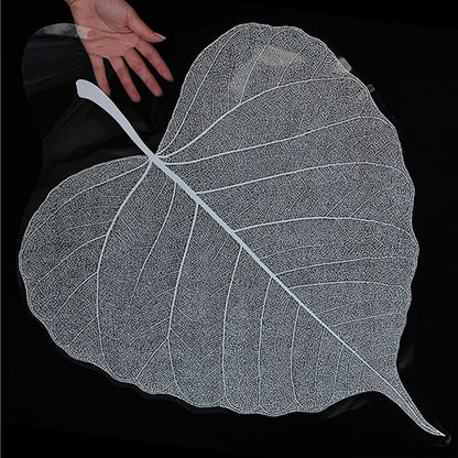 20pcs Leaf Shaped Bouquet Cellophane Wrap
