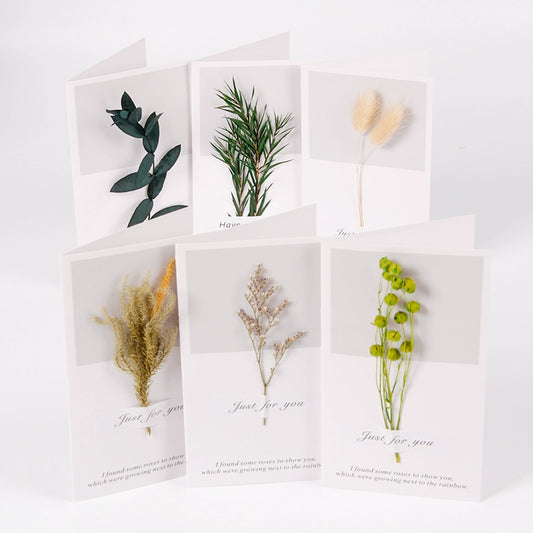 Real Dried Flower Greeting Cards Pack 10