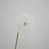 1 stem