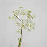 Load image into Gallery viewer, Artificial Queen Anne's Lace Stem (63cm)