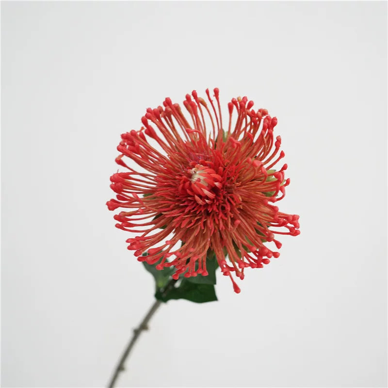 29" Artificial Pincushion Protea Flower Stem