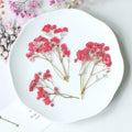 red 100pcs