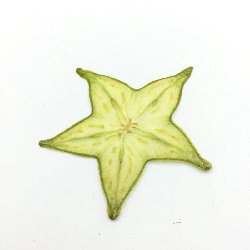 10 Pcs Real Pressed Dried Star Fruit Slices