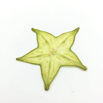 10 Pcs Real Pressed Dried Star Fruit Slices