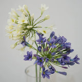 Load image into Gallery viewer, Artificial Lily of the Nile Stem (76cm)