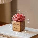 Load image into Gallery viewer, Smiling Artificial Mini Succulents