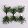 20pcs