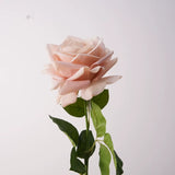 Load image into Gallery viewer, Real Touch Ocean Song Rose Stem (67cm)