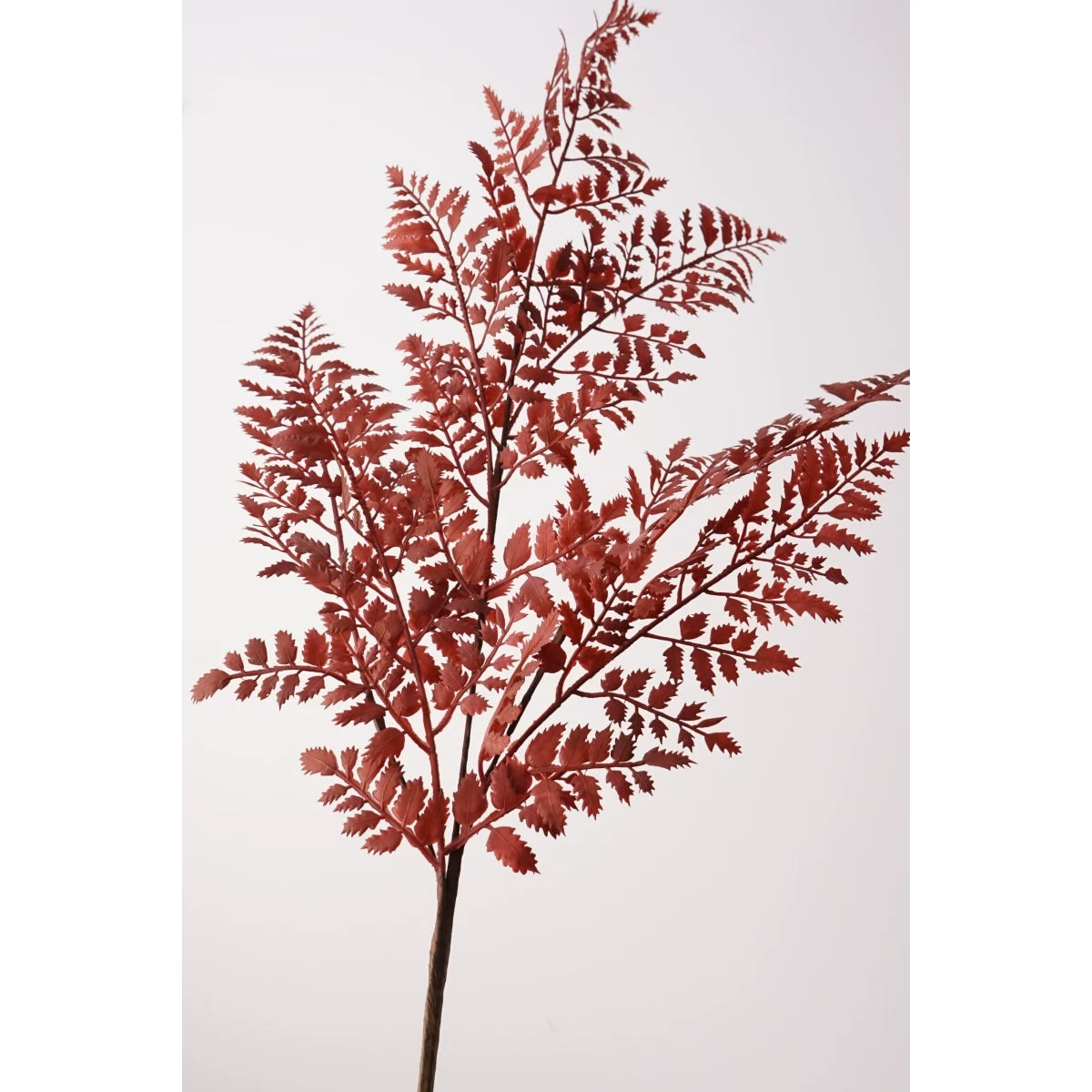 35" Artificial Terracotta Fern Foliage Spray
