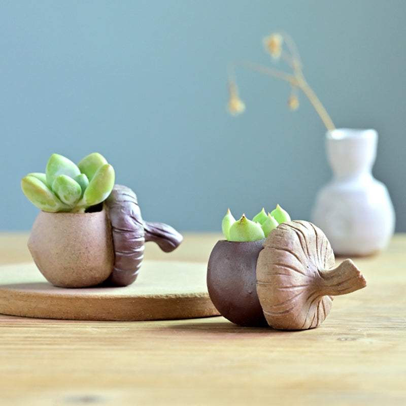 cute planters for succulents Cute Acorn Mini Terracotta Succulent Planter Pot – Floral Supplies Store