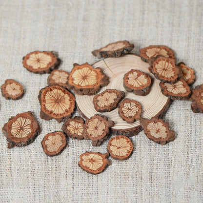 100g Natural Dried Wood Slices for DIY Crafting