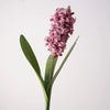 Purplish Pink