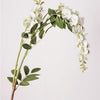 1 branch