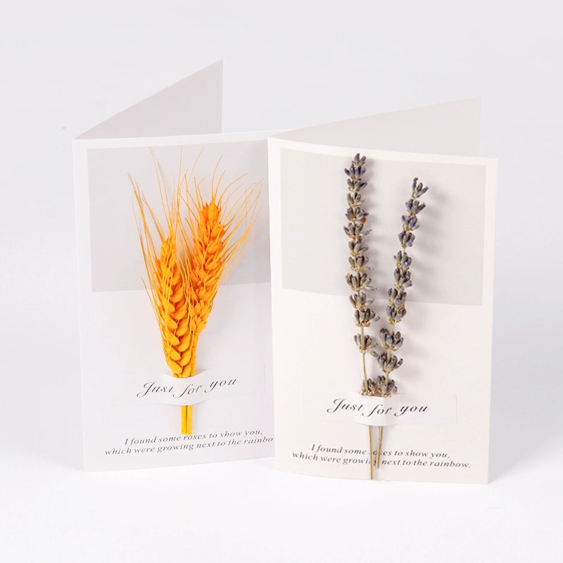 Real Dried Flower Greeting Cards Pack 10