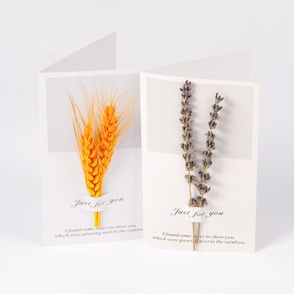 Real Dried Flower Greeting Cards Pack 10
