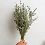 Load image into Gallery viewer, Real Dried Forget Me Not Flower Bouquet