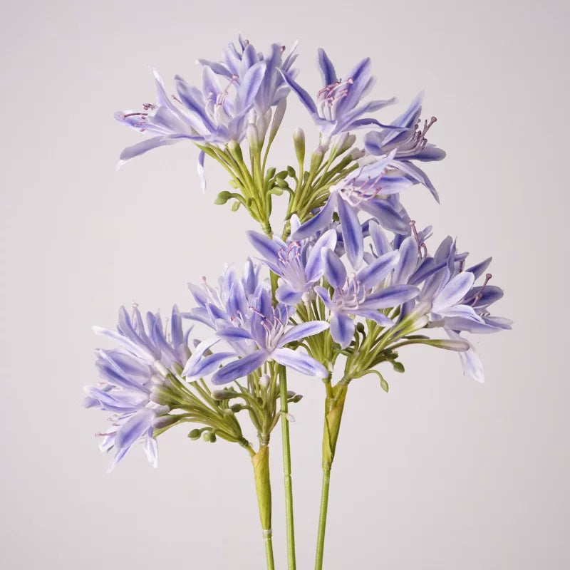 22" Real Touch Artificial Agapanthus Stem
