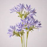 Load image into Gallery viewer, Real Touch Artificial Agapanthus Stem (56cm)