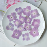 Load image into Gallery viewer, 50 Pcs Pressed Dried Hydrangea Flower for DIY Crafts