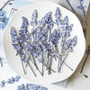 (6-10cm) 50pcs