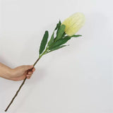 Load image into Gallery viewer, Artificial Banksia Flower Stem (64cm)