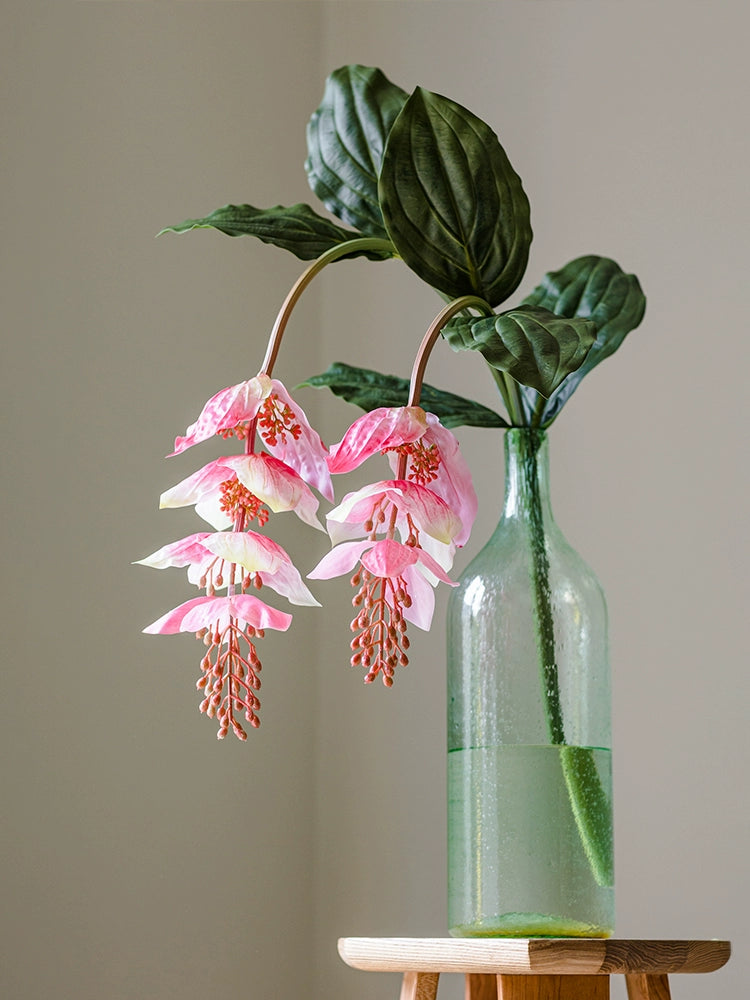 Artificial Medinilla Magnifica Plant