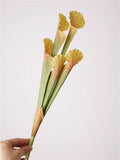 Load image into Gallery viewer, Realistic Artificial Pitcher Plant Stem (42cm)