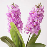 Load image into Gallery viewer, Real Touch Artificial Hyacinth Flower Stem (40cm)
