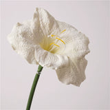 Load image into Gallery viewer, Real Touch Artificial Clivia Stem (54cm)