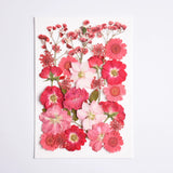 Load image into Gallery viewer, 26 Pcs Real Dried Pressed Flowers for Resin Crafts